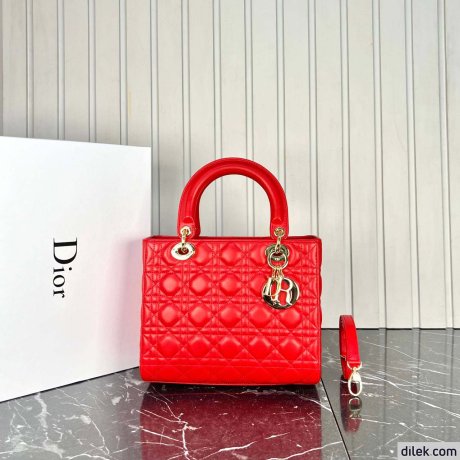 Dior Medium Lady Dior Bag