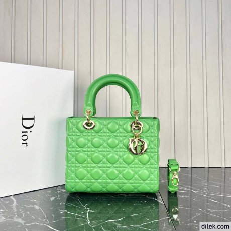 Dior Medium Lady Dior Bag