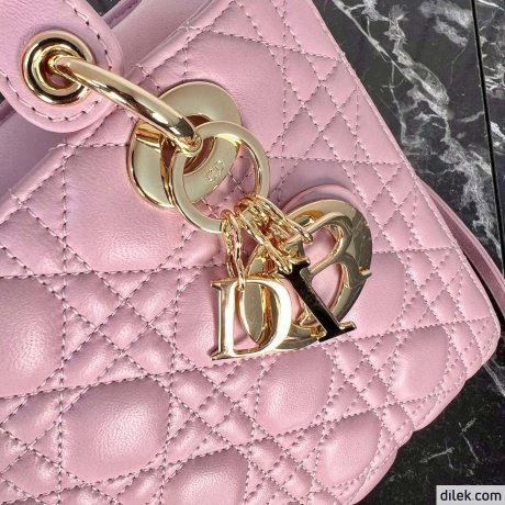 Dior Medium Lady Dior Bag