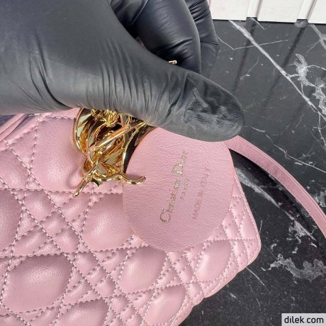 Dior Medium Lady Dior Bag