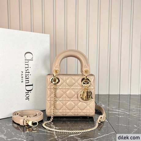 Dior Mini Lady Dior Bag