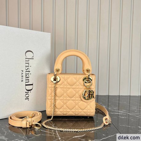 Dior Mini Lady Dior Bag