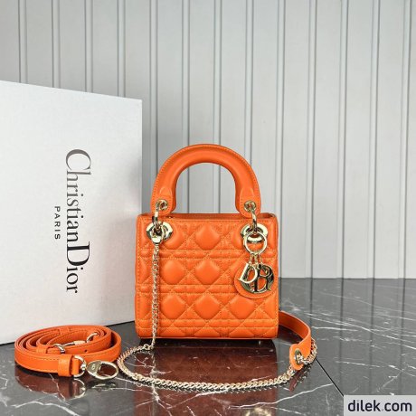 Dior Mini Lady Dior Bag