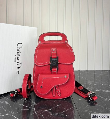 Dior Saddle Backpack