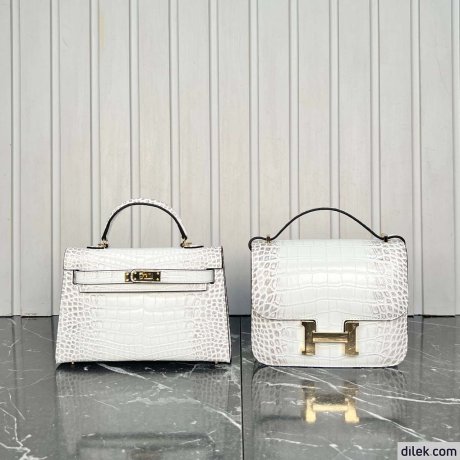 Hermes Constance Bag