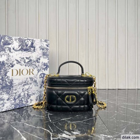 Dior 30 Montaigne Mini Vanity Case