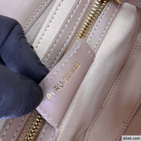 Dior CD Signature Bag with Strap