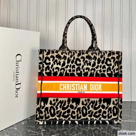 Dior Large Book Tote Multicolor