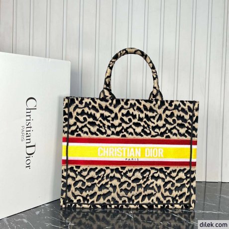 Dior Large Book Tote Multicolor