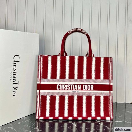 Dior Large Book Tote Multicolor