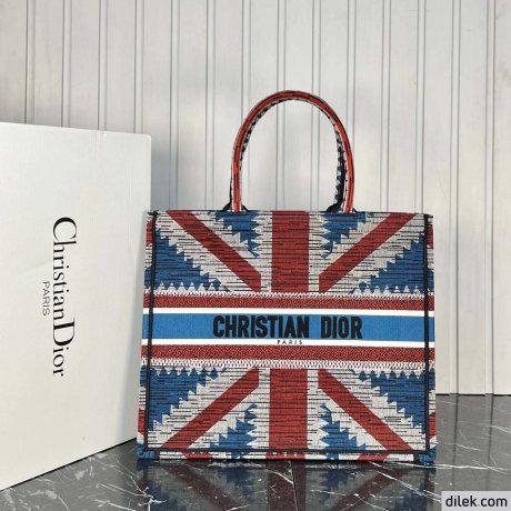Dior Large Book Tote Multicolor
