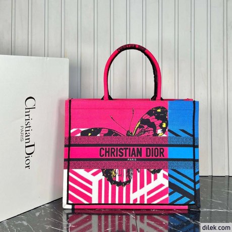 Dior Large Book Tote Multicolor