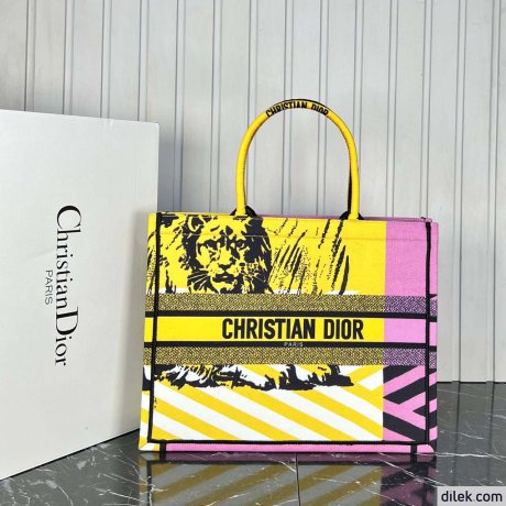 Dior Large Book Tote Multicolor