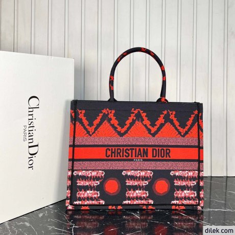 Dior Large Book Tote Multicolor