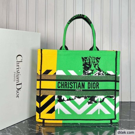 Dior Large Book Tote Multicolor