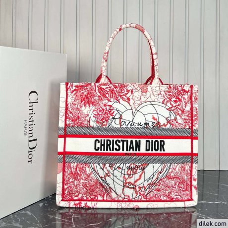 Dior Large Book Tote Multicolor