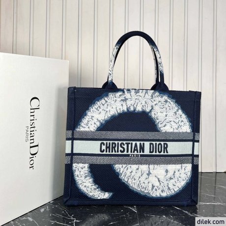 Dior Large Book Tote Multicolor