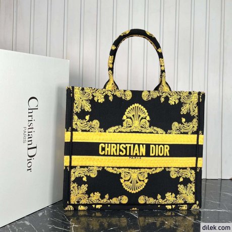 Dior Large Book Tote Multicolor