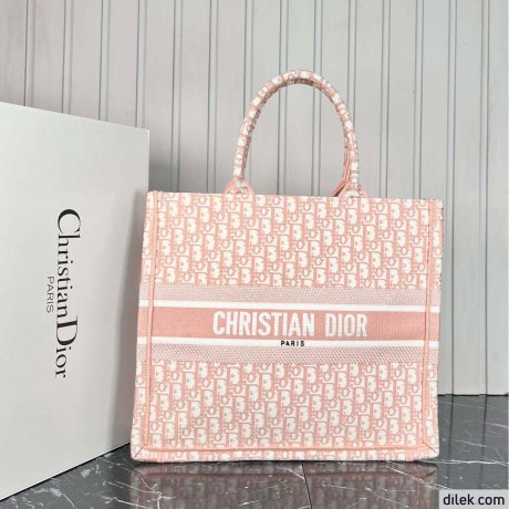 Dior Large Book Tote Multicolor