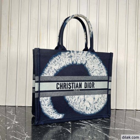 Dior Large Book Tote Multicolor