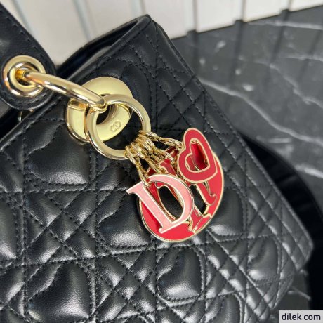 Dior Large Lady Dior Bag