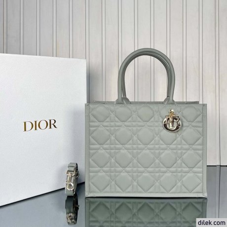 Dior Medium Book Tote