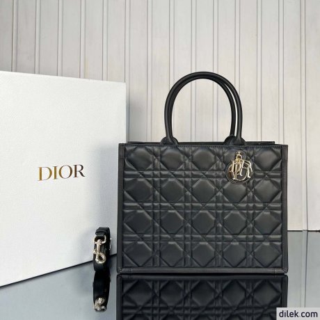 Dior Medium Book Tote