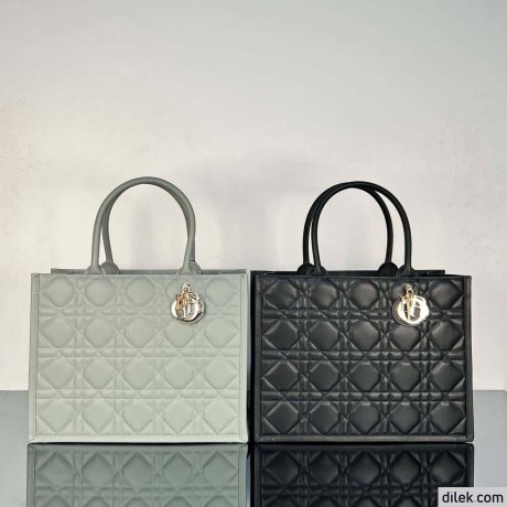 Dior Medium Book Tote