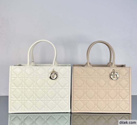 Dior Medium Book Tote