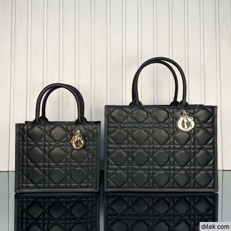 Dior Medium Book Tote