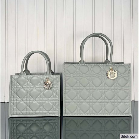 Dior Medium Book Tote