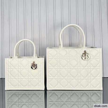 Dior Medium Book Tote