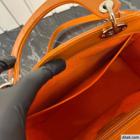 Dior Medium Lady Dior Bag