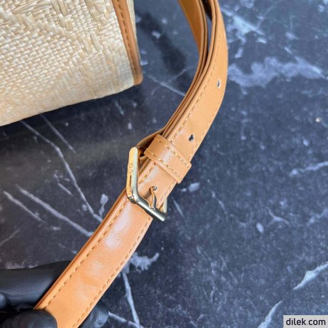 Medium Lady Dior Bag