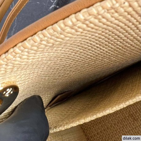 Medium Lady Dior Bag