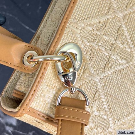 Medium Lady Dior Bag