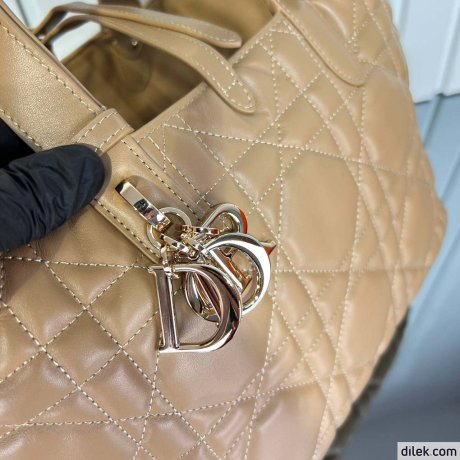 Dior Medium Toujours Bag