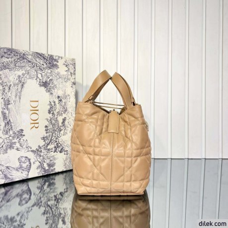 Dior Medium Toujours Bag