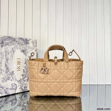 Dior Medium Toujours Bag
