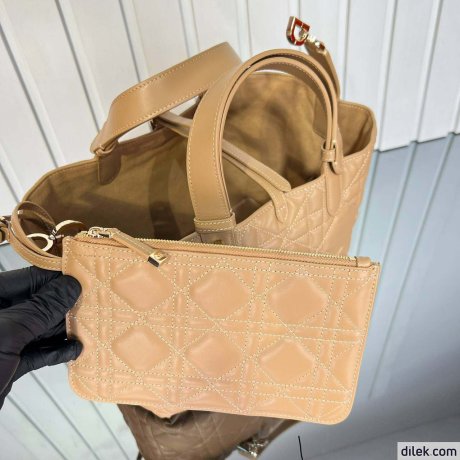 Dior Medium Toujours Bag
