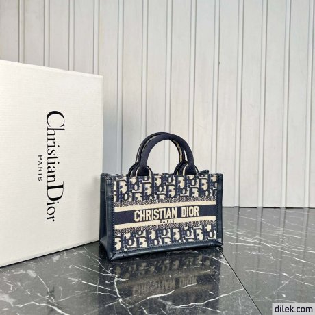 Dior Mini Book Tote