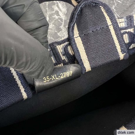 Dior Mini Book Tote