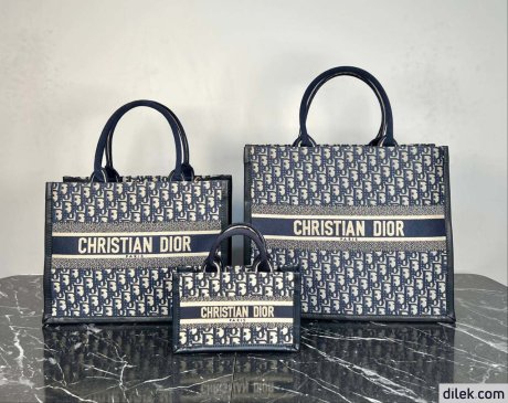 Dior Mini Book Tote