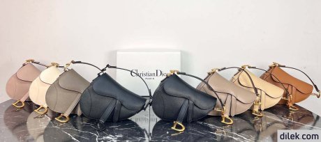 Dior Mini Saddle Bag With Strap