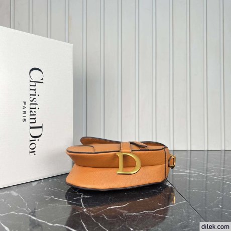 Dior Mini Saddle Bag With Strap