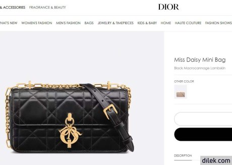 Dior Miss Daisy Mini Bag