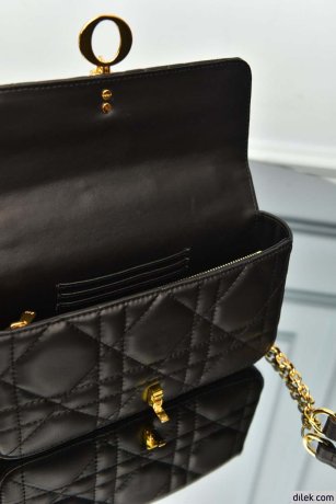 Dior Miss Daisy Mini Bag