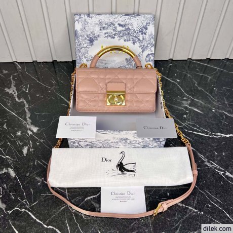 Dior Mini Ange Bag