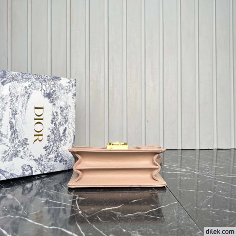Dior Mini Ange Bag