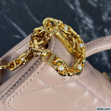 Dior Mini Ange Bag